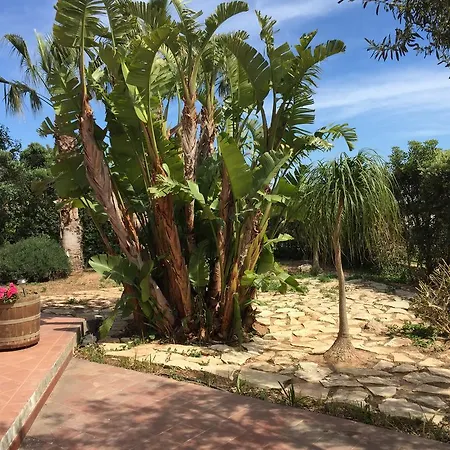 Favonio Favignana